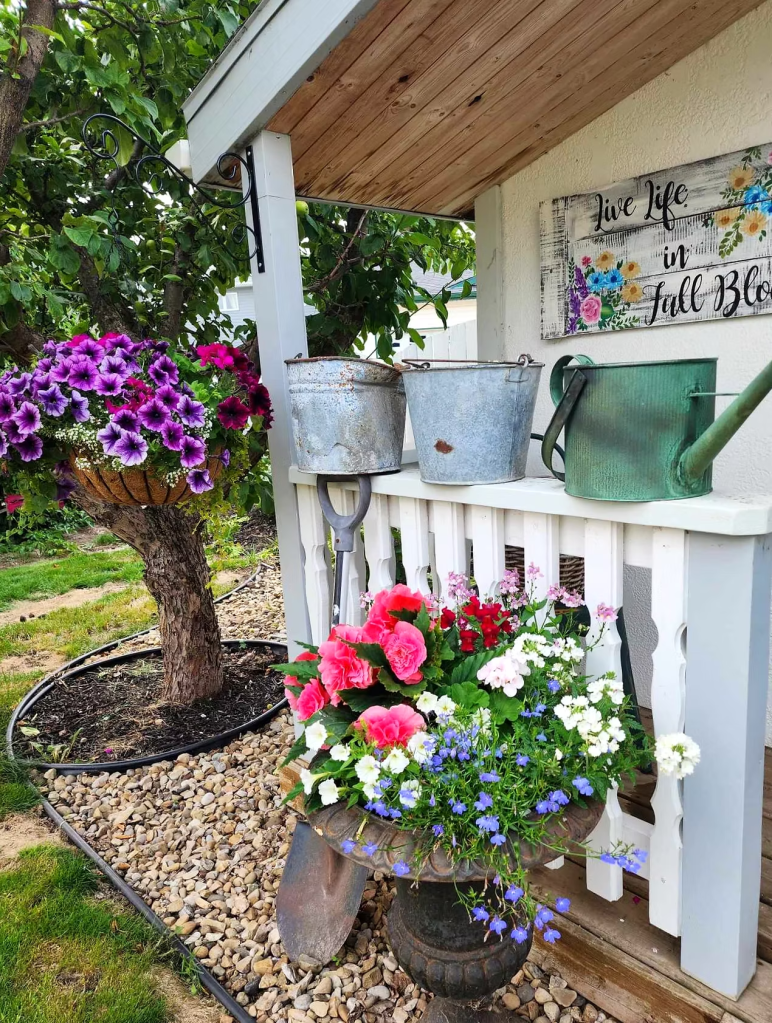 A vibrant display of flowers in a rustic urn, featuring pink begonias, white petunias, and blue lobelia, accompanied by metal gardening tools and decorative buckets on a porch with a wooden ceiling and a 'Live Life in Full Bloom' sign.