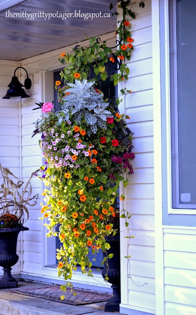 A vibrant hanging basket filled with a variety of colorful flowers, including orange and pink blooms, set against a white exterior wall.