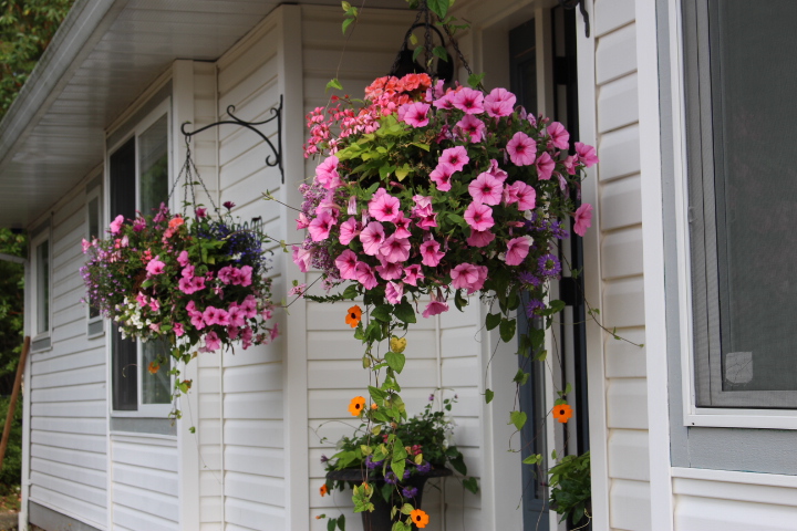 My 5 Tips To Stunning Baskets & Planters All Summer&nbsp;Long