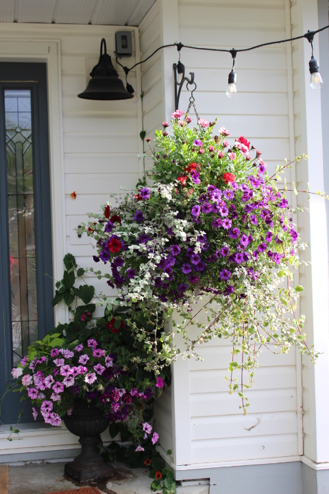 A vibrant hanging basket filled with purple, red, and white petunias, overflowing with lush greenery, mounted next to a decorative planter with pink flowers against a white wall.
