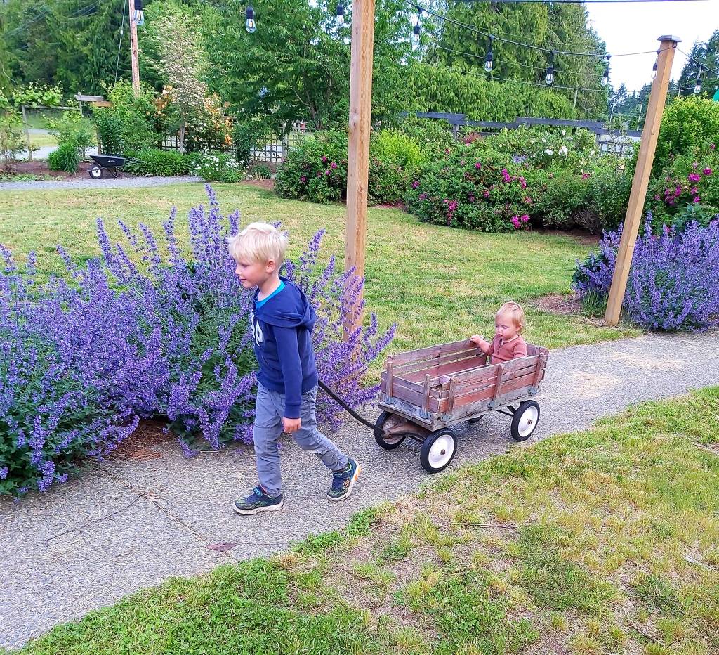 A young boy pulls a wooden wagon along a garden path, with a small child sitting inside, surrounded by blooming purple flowers.