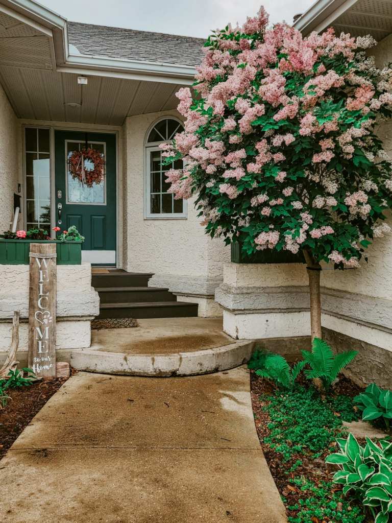 Front porch with a green door, a welcome sign, and a blooming pink flowering tree.