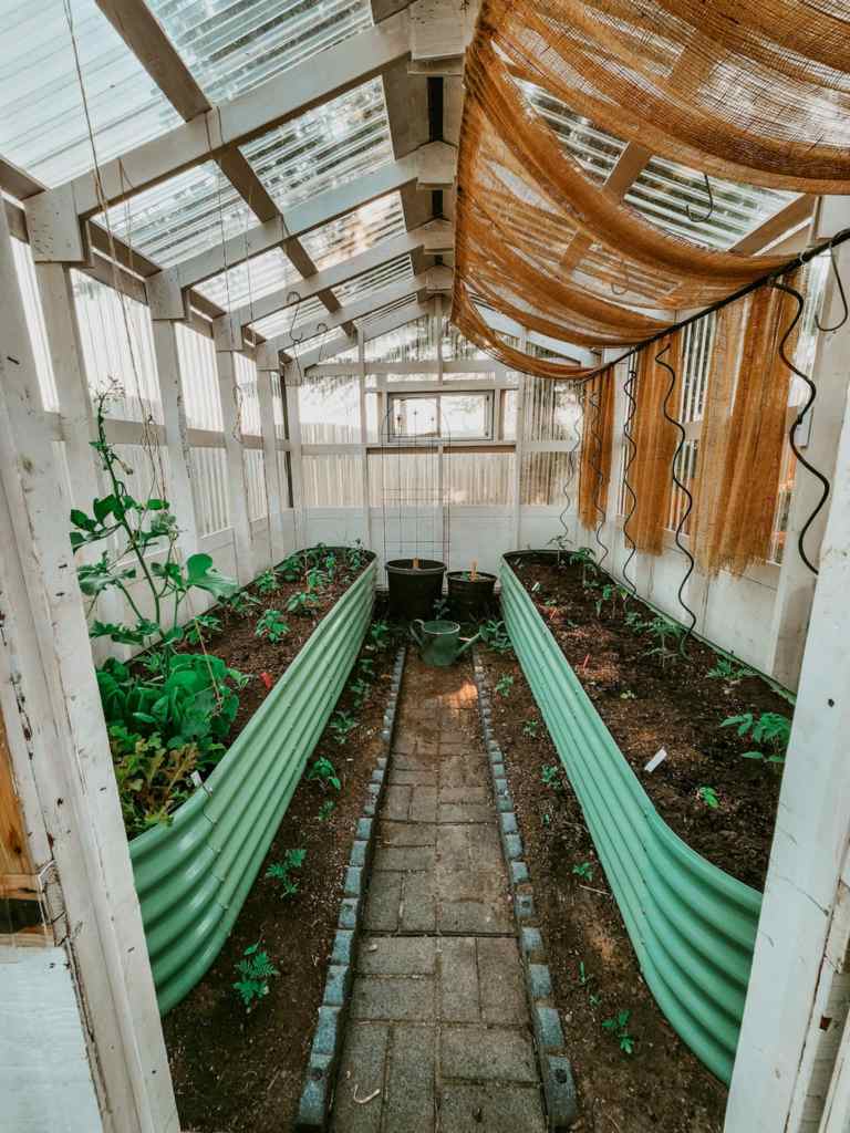 Interior view of a greenhouse featuring raised planting beds along the sides, a central walkway made of pavers, and a light filtering curtain overhead.