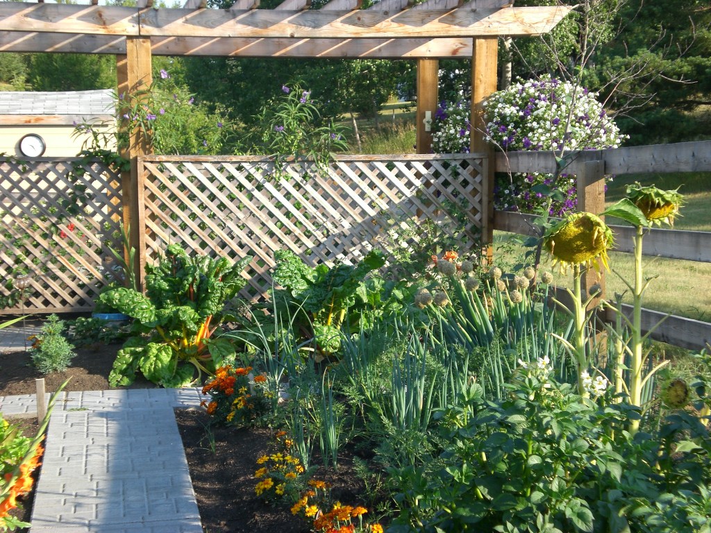 A vibrant garden featuring a variety of fruits, vegetables, and flowers, surrounded by a wooden lattice structure and a pergola in the background.