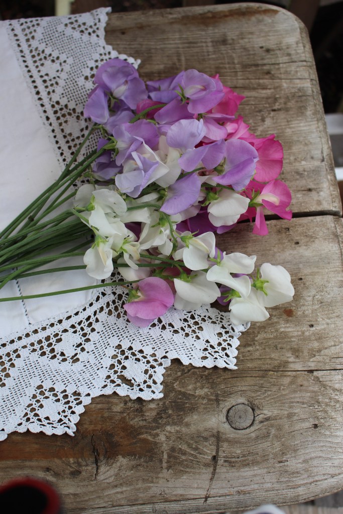 A bouquet of colorful sweet pea flowers in shades of pink, purple, and white arranged on a wooden table with a decorative lace doily.