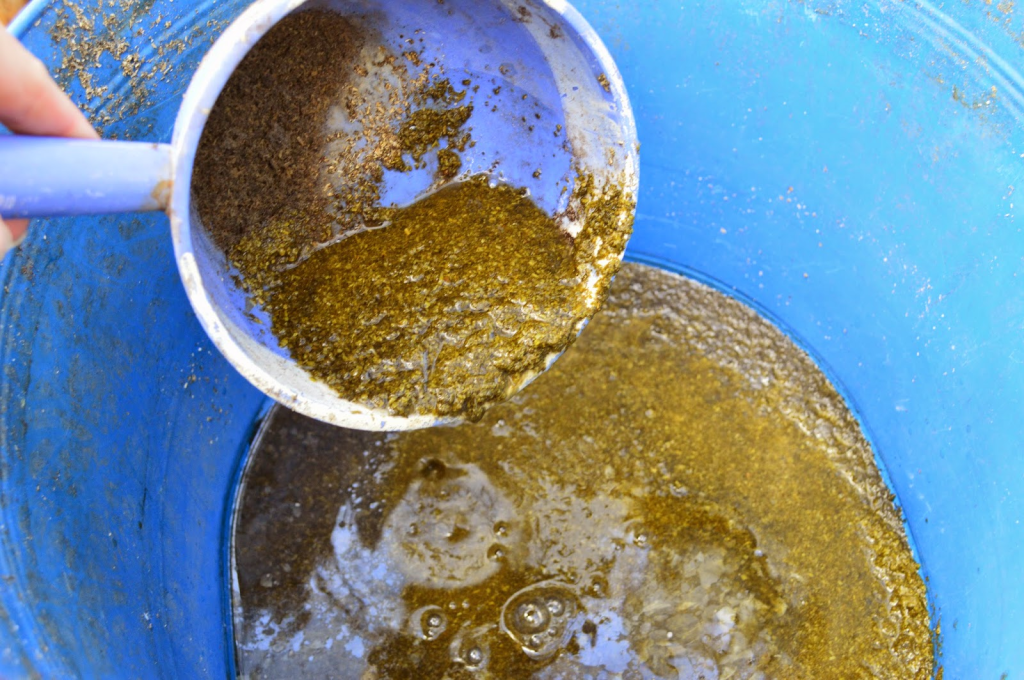 A hand holding a measuring cup, pouring a dark, thick liquid into a blue bucket, which contains a mixture of manure or compost tea.