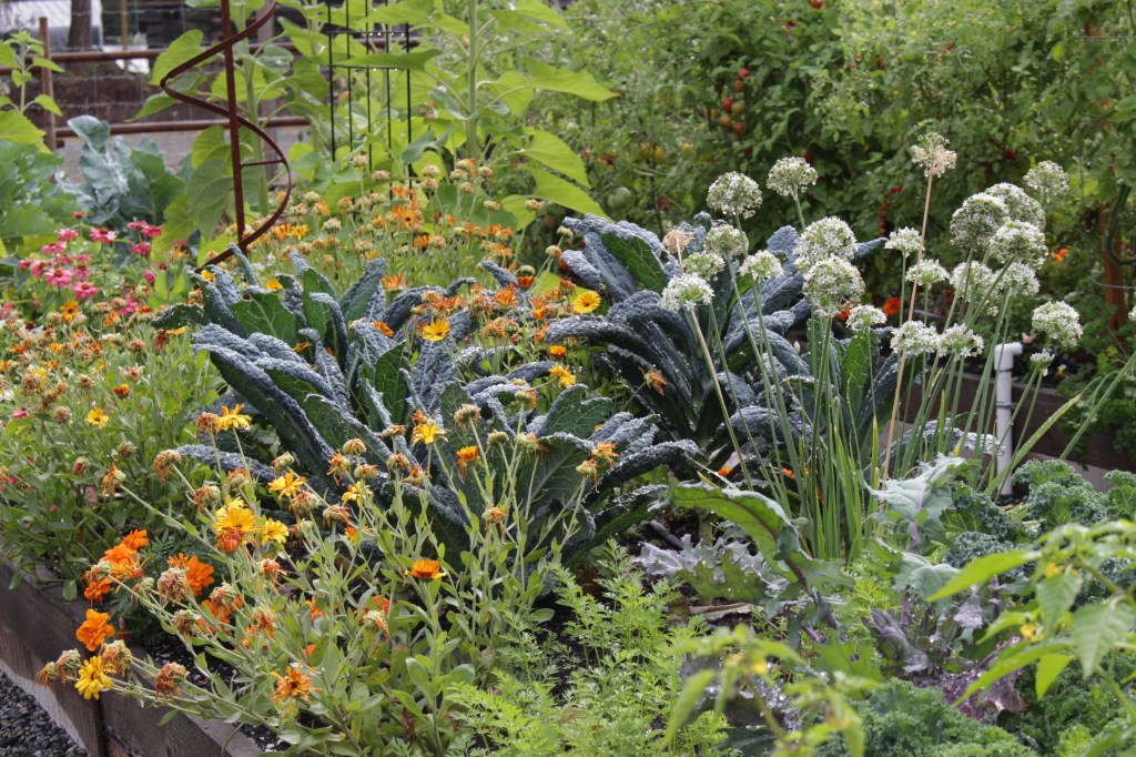 A lush vegetable garden featuring a variety of greens, colorful flowers, and tall onion plants, showcasing a mix of textures and colors.