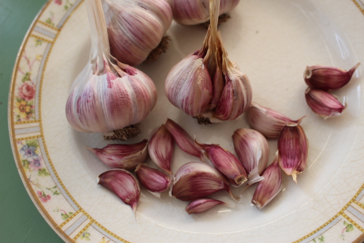 A plate with whole garlic bulbs and separated garlic cloves, showcasing their pinkish-purple skins.
