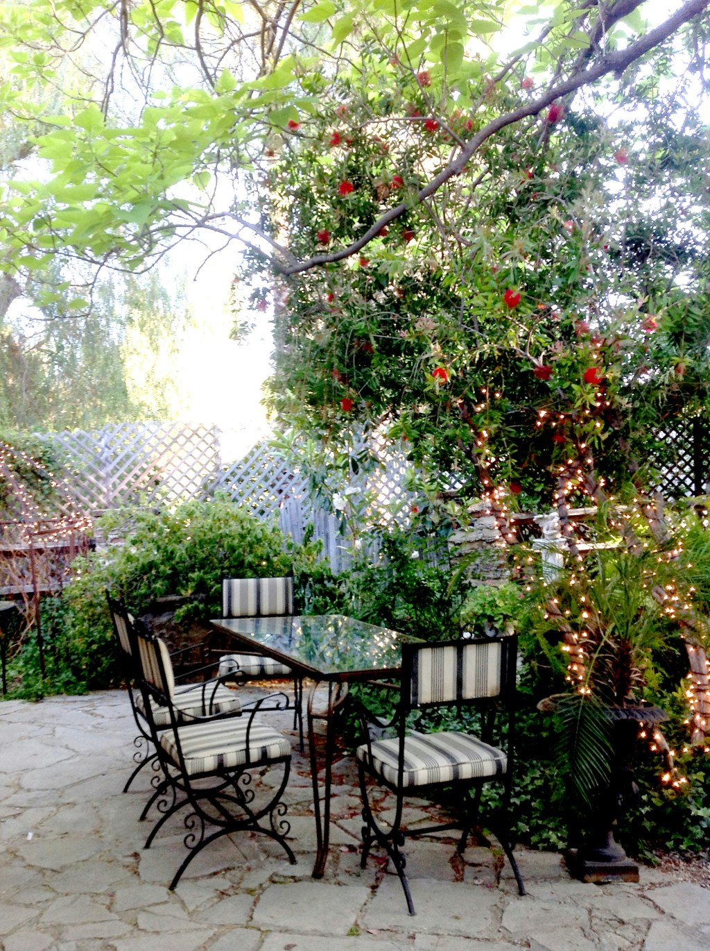 Sunday Potager Ramblings&nbsp;#40