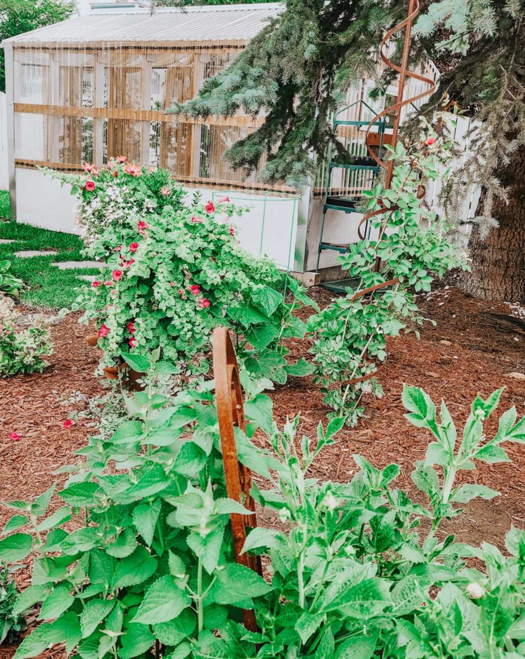 Sunday Potager Ramblings&nbsp;#45