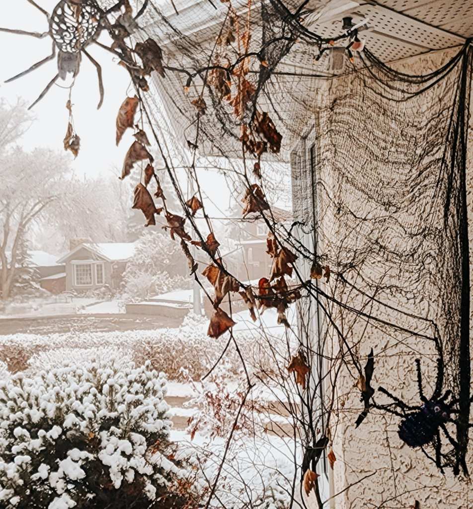 A decorated outdoor patio with Halloween spider webs, fake spiders, and dried leaves, set against a snowy backdrop.