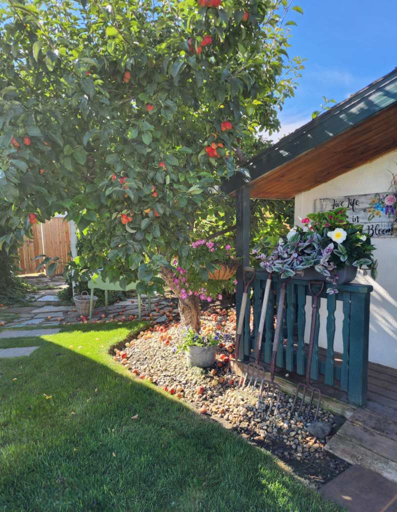 A vibrant garden scene featuring a fruit-laden tree next to a wooden porch, surrounded by colorful flowers and decorative rocks.