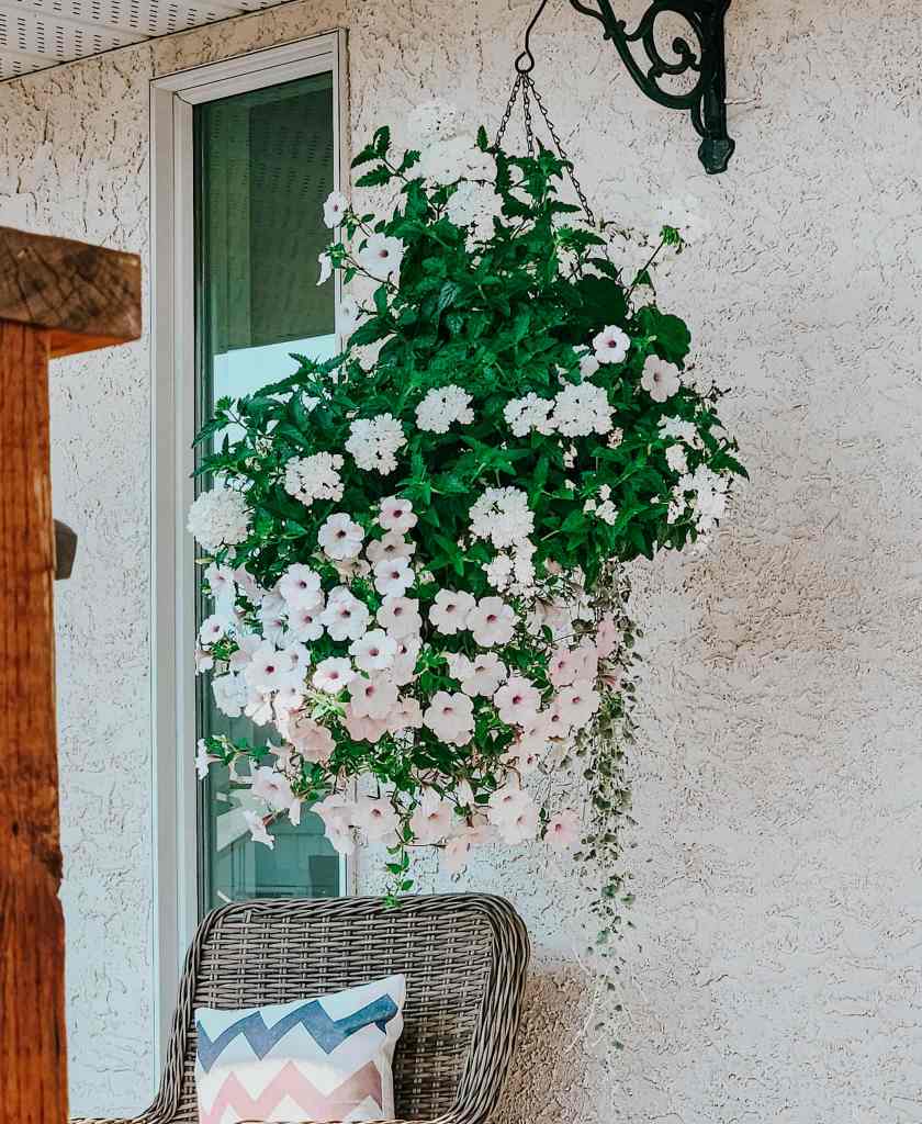 A large hanging basket filled with blooming flowers in shades of white and pink, positioned near a textured wall and a wicker chair adorned with a patterned cushion.