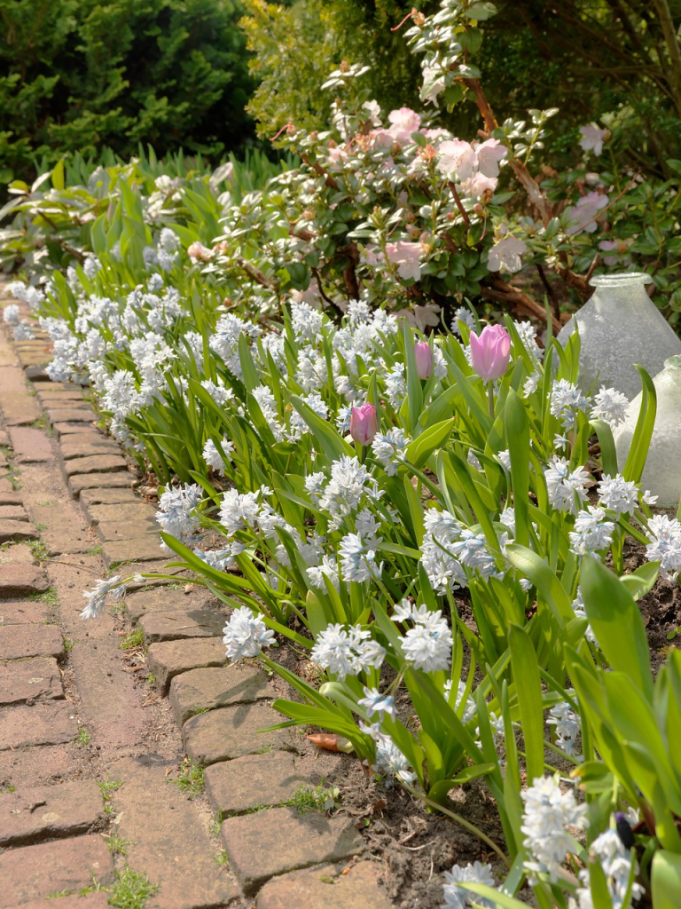 A vibrant spring garden featuring blooming flowers, including white flower clusters and pink tulips, along a brick pathway surrounded by lush greenery.