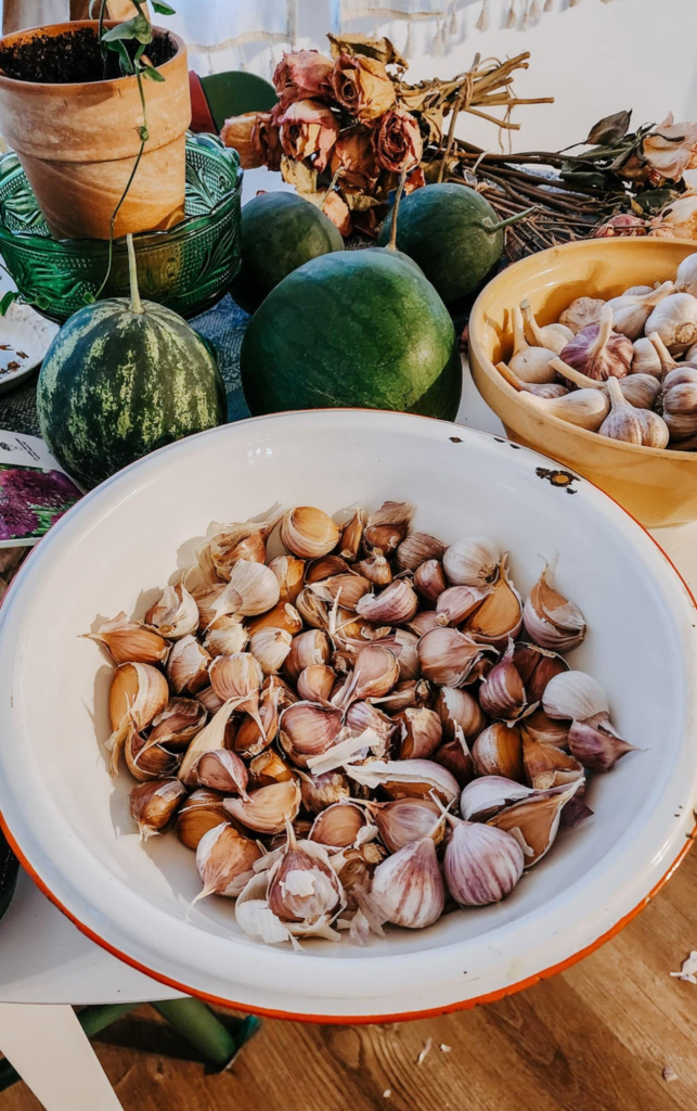 A bowl filled with garlic cloves surrounded by watermelons, dried roses, and a potted plant, on a table.