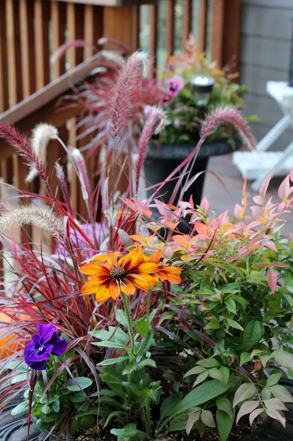 Vibrant garden planter featuring orange zinnia flowers, purple pansies, and colorful ornamental grasses, set against a wooden deck.