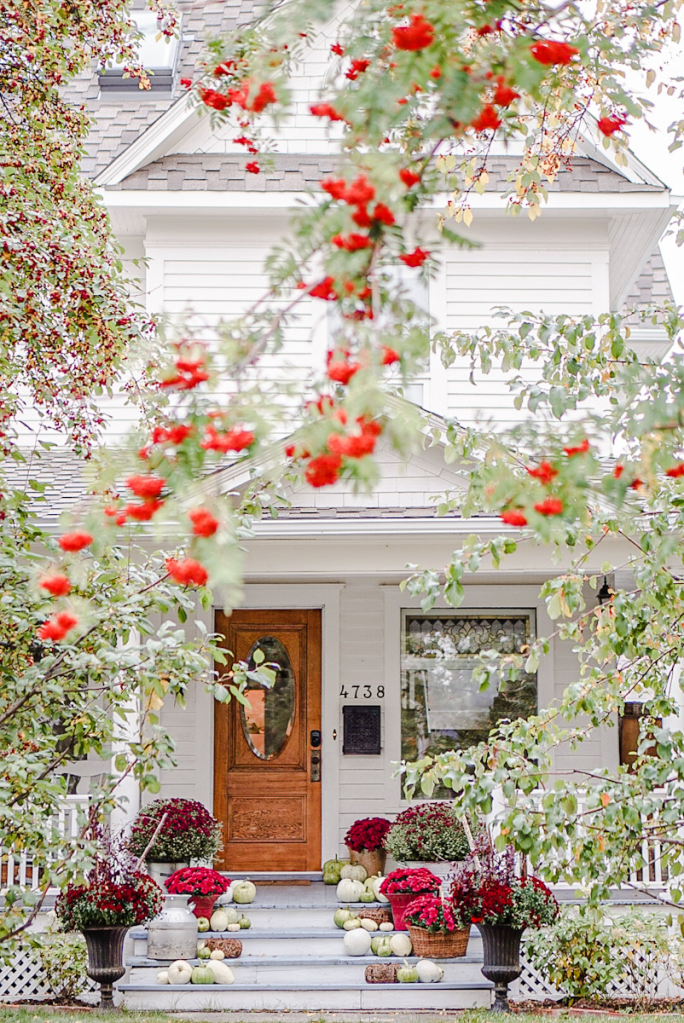A charming white house with red and purple mums on the porch, surrounded by pumpkins and red berries on trees.