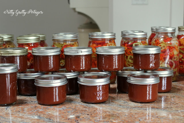 Jars of homemade tomato sauce and pickled peppers arranged on a kitchen countertop.