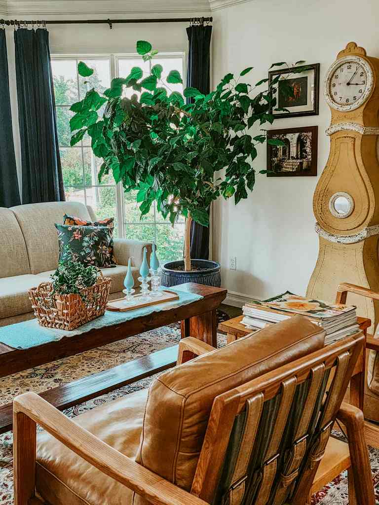 A cozy living room featuring a light-colored sofa, a wooden coffee table, and a large potted plant near a window. Decorative items include a basket, patterned cushions, and a clock against the wall.
