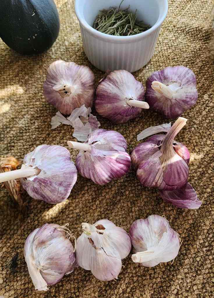 A collection of purple garlic bulbs arranged on a textured surface, accompanied by a small dish of dried herbs.