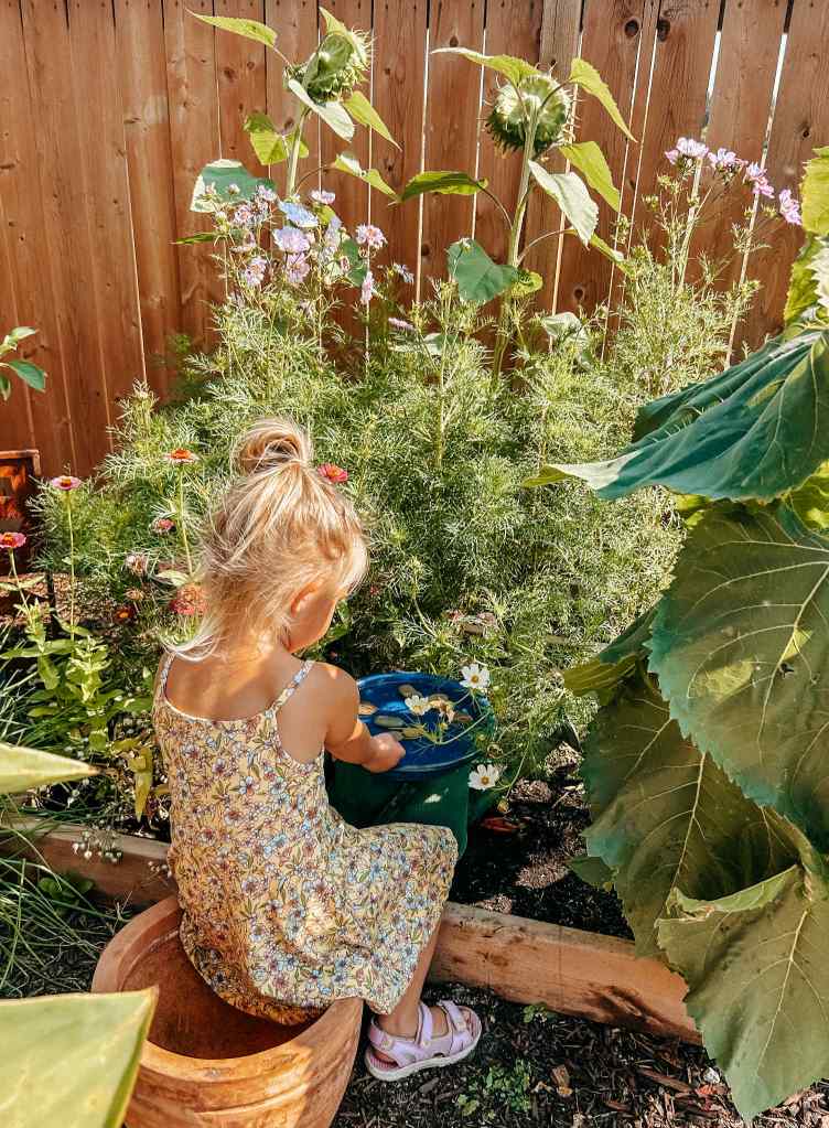 A child in a floral dress gathers flowers in a green container while sitting in a garden filled with sunflowers and other plants.