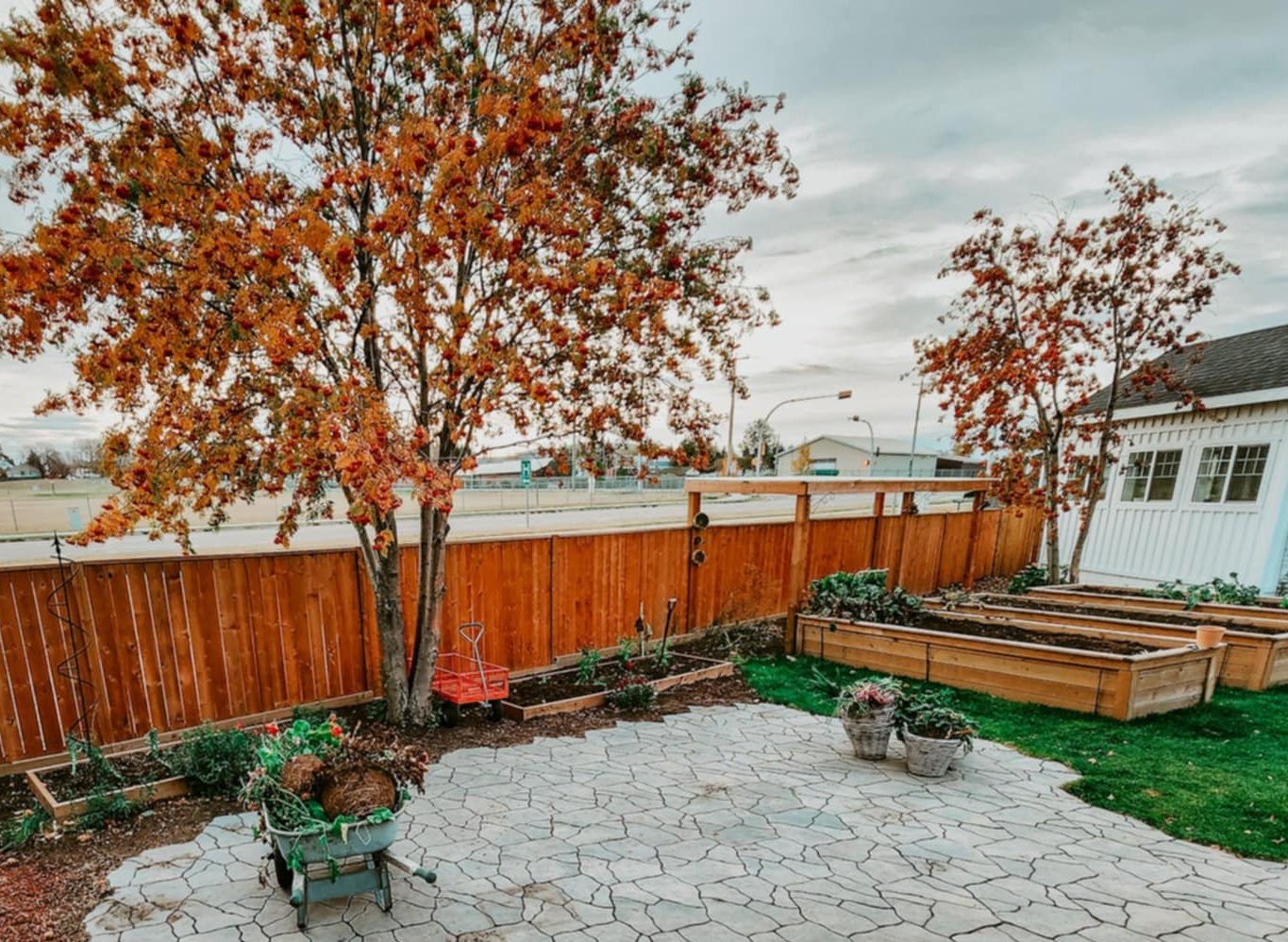 A backyard scene featuring two mature trees with autumn foliage, a stone patio, raised garden beds, and a wooden fence, creating a cozy outdoor atmosphere.