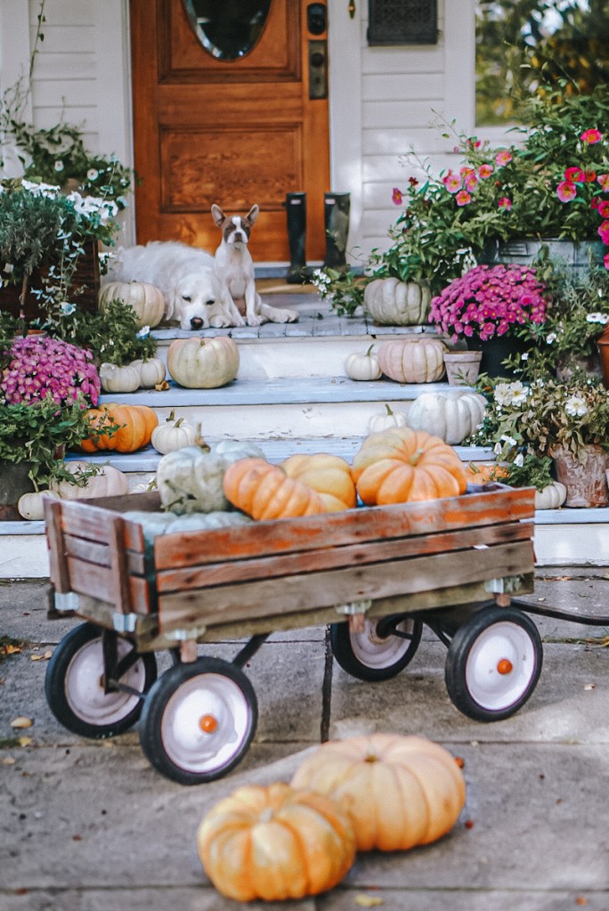 A cozy front porch decorated for fall, featuring a wooden wagon filled with pumpkins, colorful flowers, and two dogs sitting on the steps.