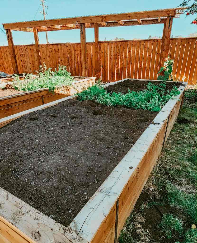 A raised garden bed filled with rich soil, surrounded by wooden fencing and a sunny sky, ready for winter preparation.