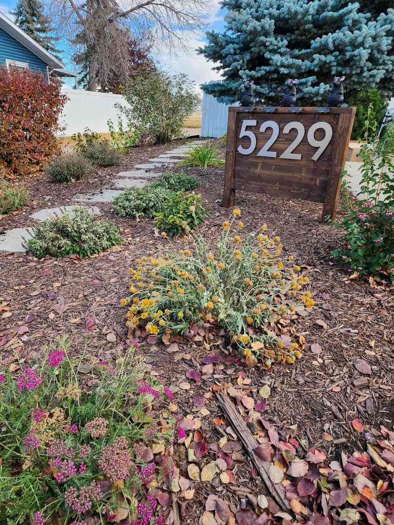 A well-maintained garden path lined with fall foliage, colorful flowers, and a wooden sign displaying the number 5229.