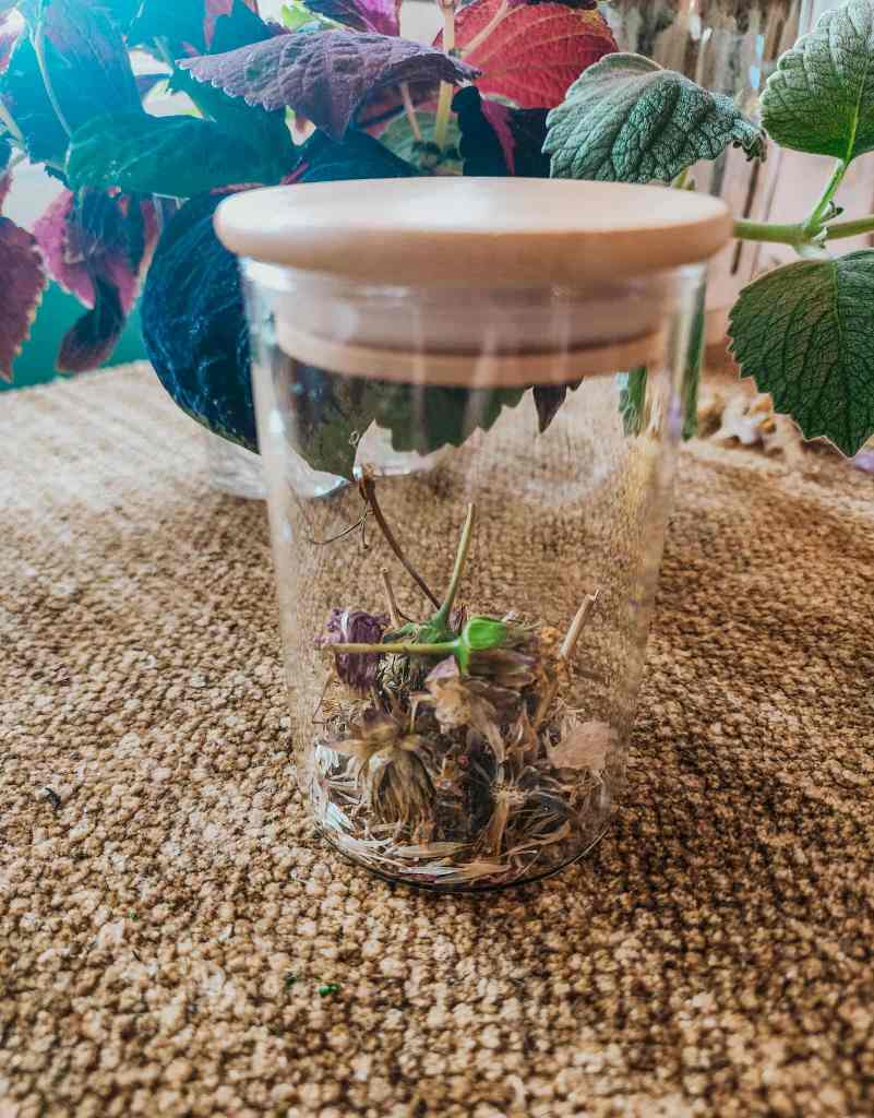 A glass jar with a wooden lid containing dried herbs and small flowers, placed on a textured surface with green and purple plant leaves in the background.
