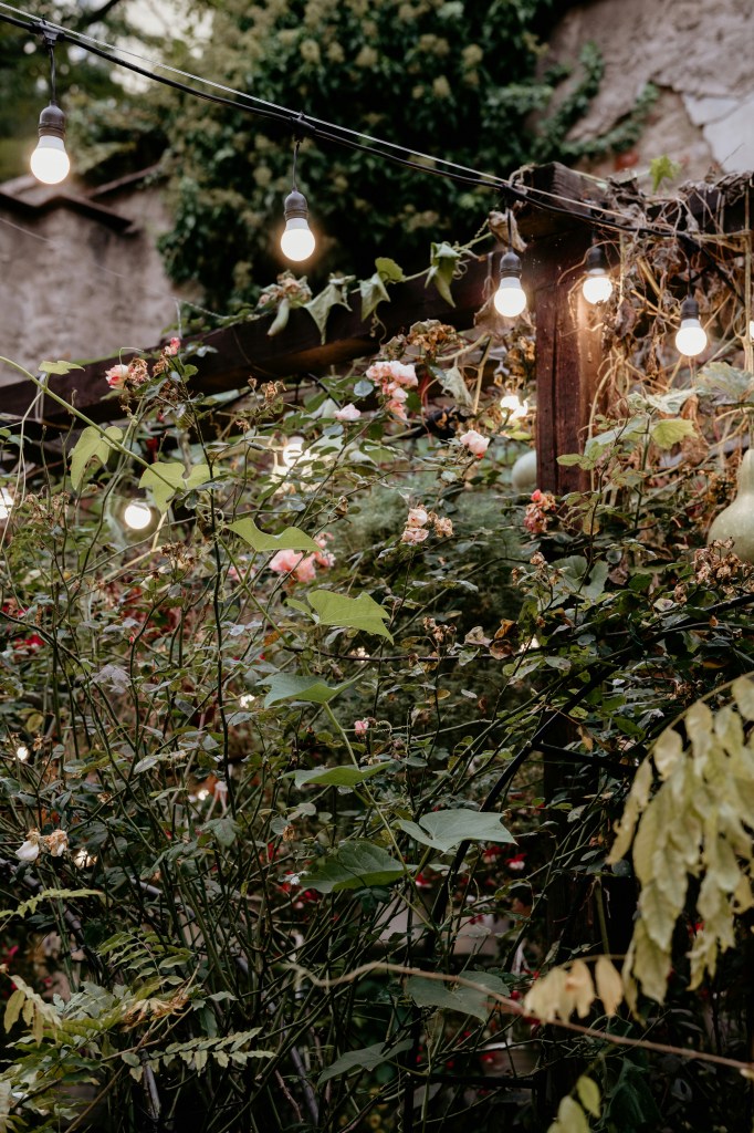 A cozy potager garden with blooming flowers and soft glowing string lights, creating a warm, inviting atmosphere.