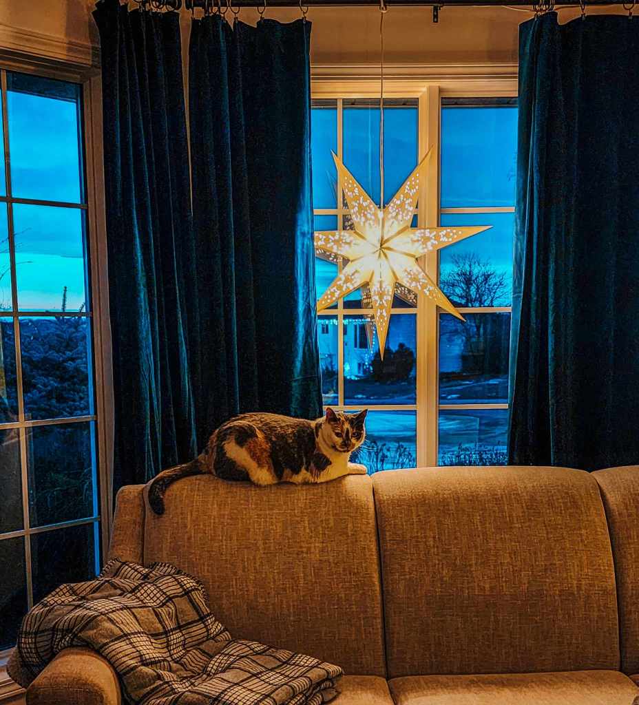 A cozy living room scene featuring a cat perched on a beige sofa, with a large illuminated star decoration hanging in front of a window draped with dark blue curtains.