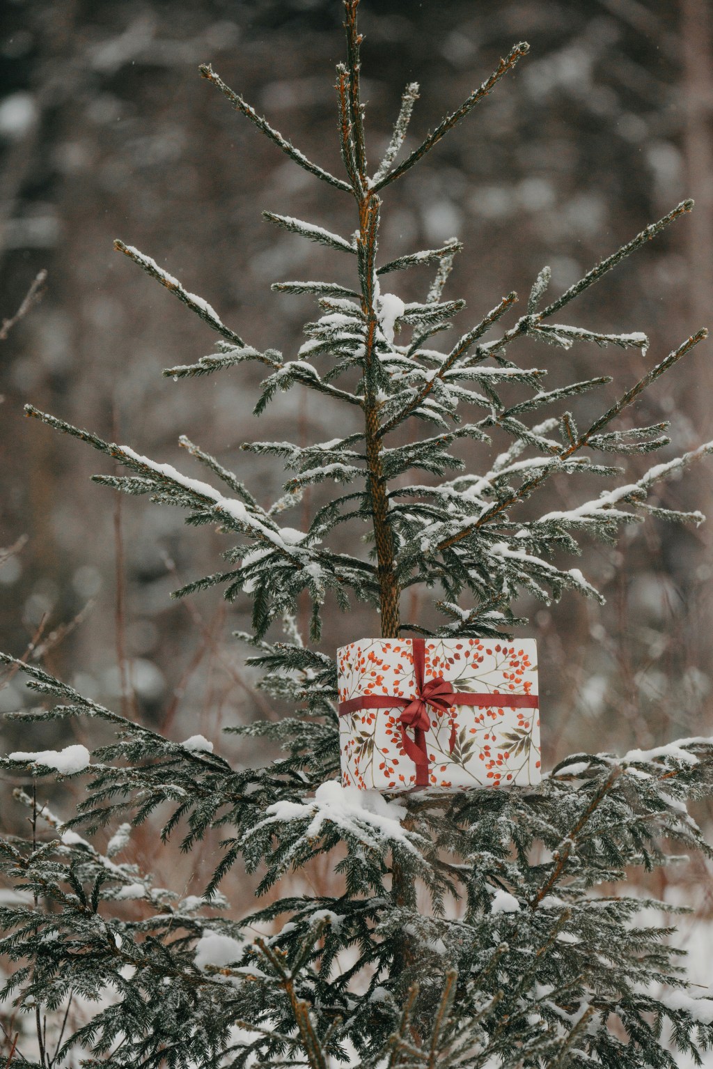 Black Friday Deals (that are really good and I think you will&nbsp;love)