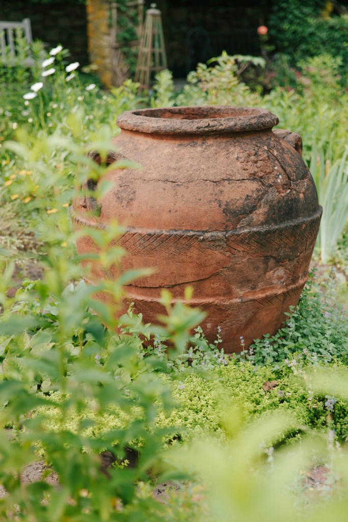 A large terracotta pot surrounded by lush green plants in a vibrant potager garden.