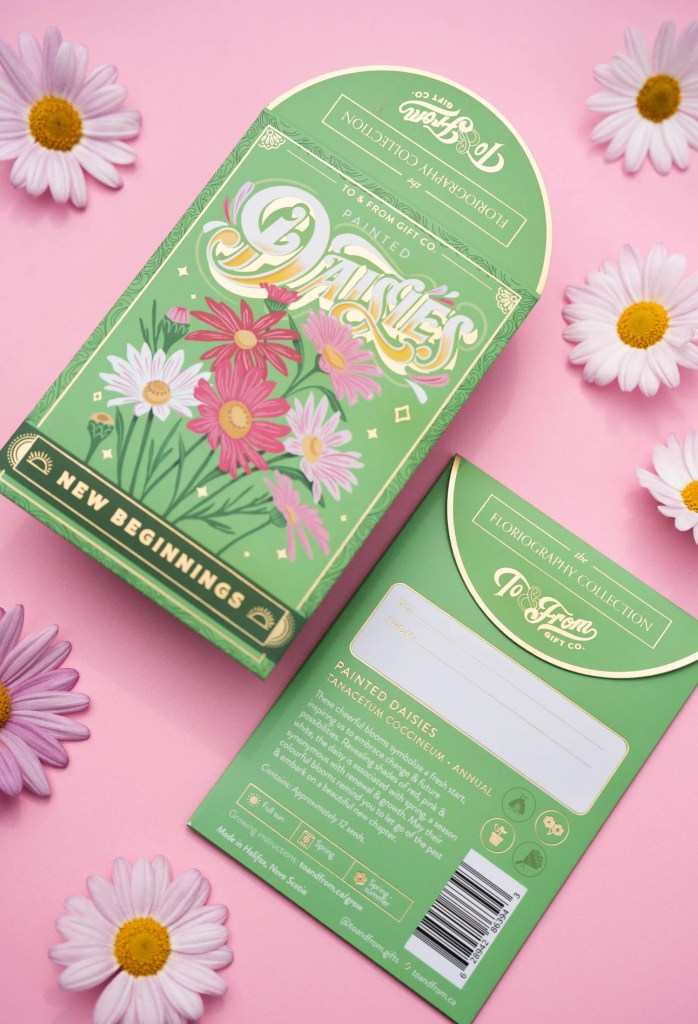 A colorful seed packet labeled 'Painted Daisies' from the To & From Gift Co., surrounded by fresh daisies on a pink background.