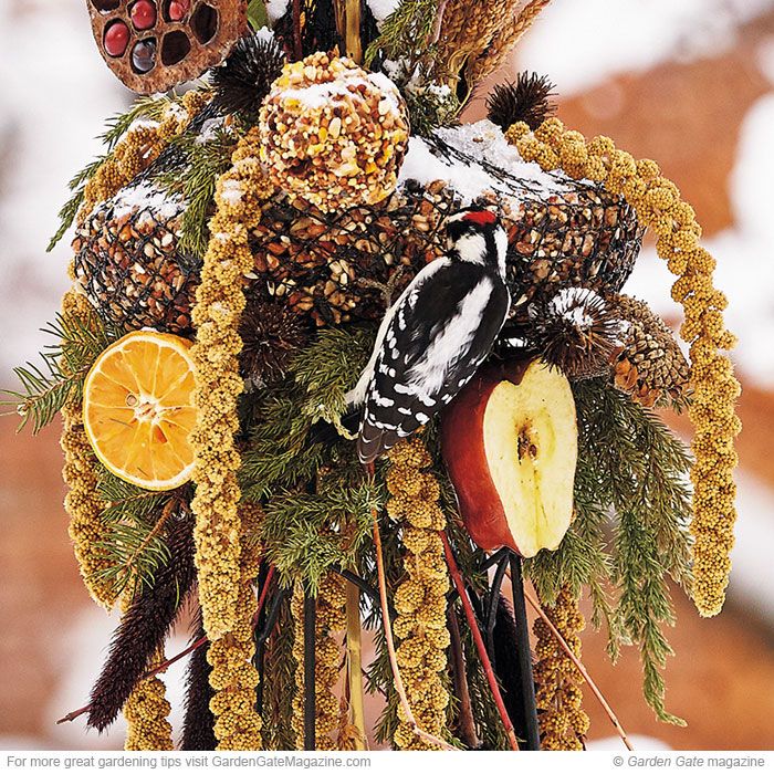 A woodpecker perched on a festive bird feeder decorated with seeds, dried fruits, and pinecones, surrounded by snow-covered greenery.