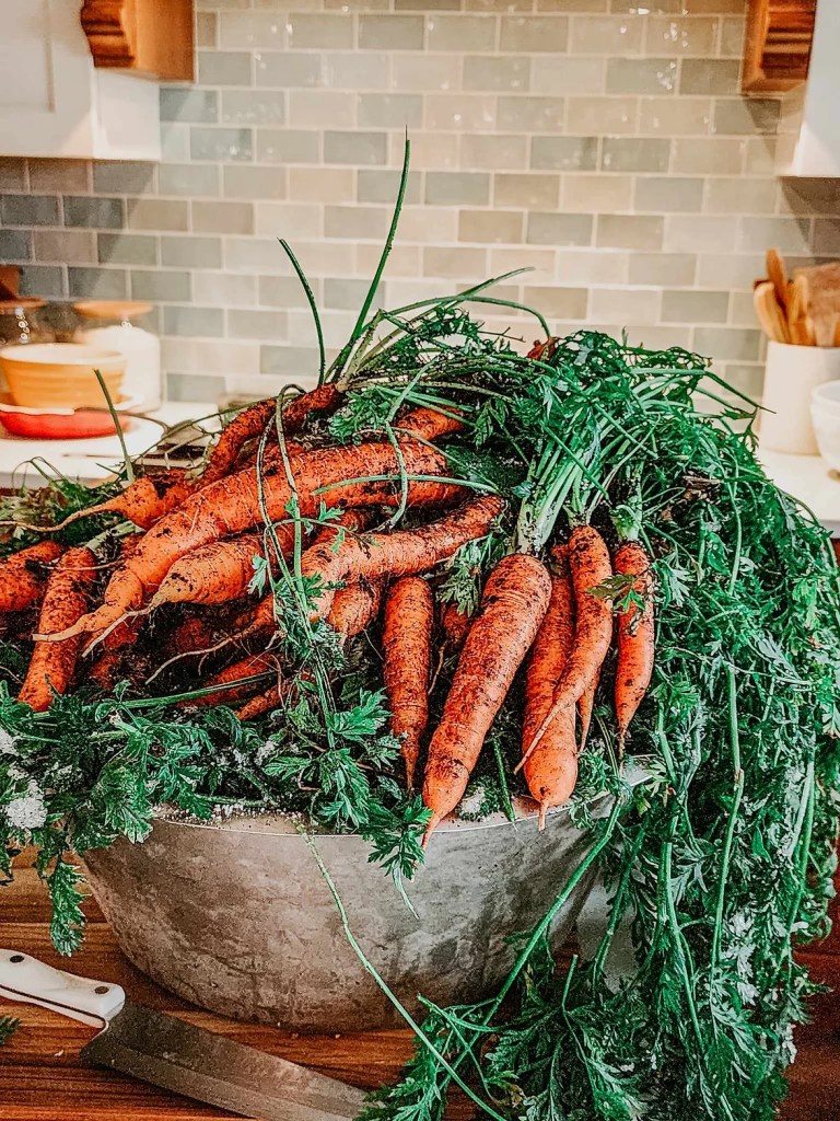 A rustic metal bowl overflowing with freshly harvested carrots, vibrant green tops cascading over the sides, set against a kitchen background.