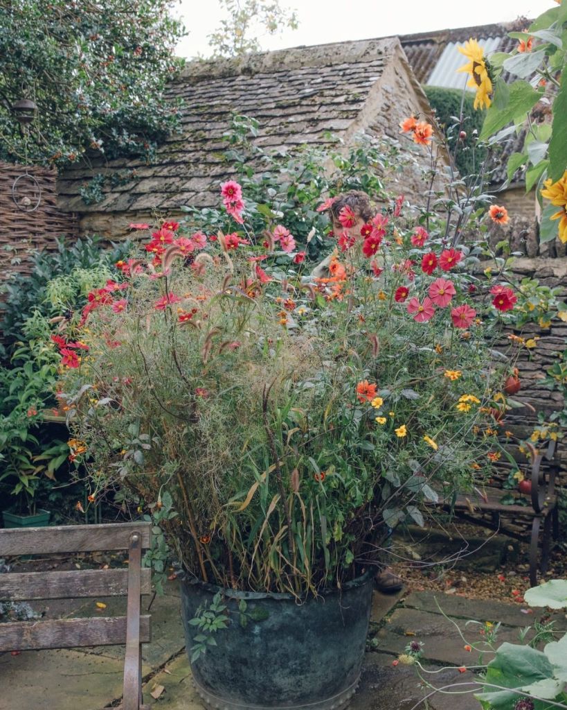 A lush arrangement of colorful flowers in a large pot, surrounded by greenery in a scenic garden setting.