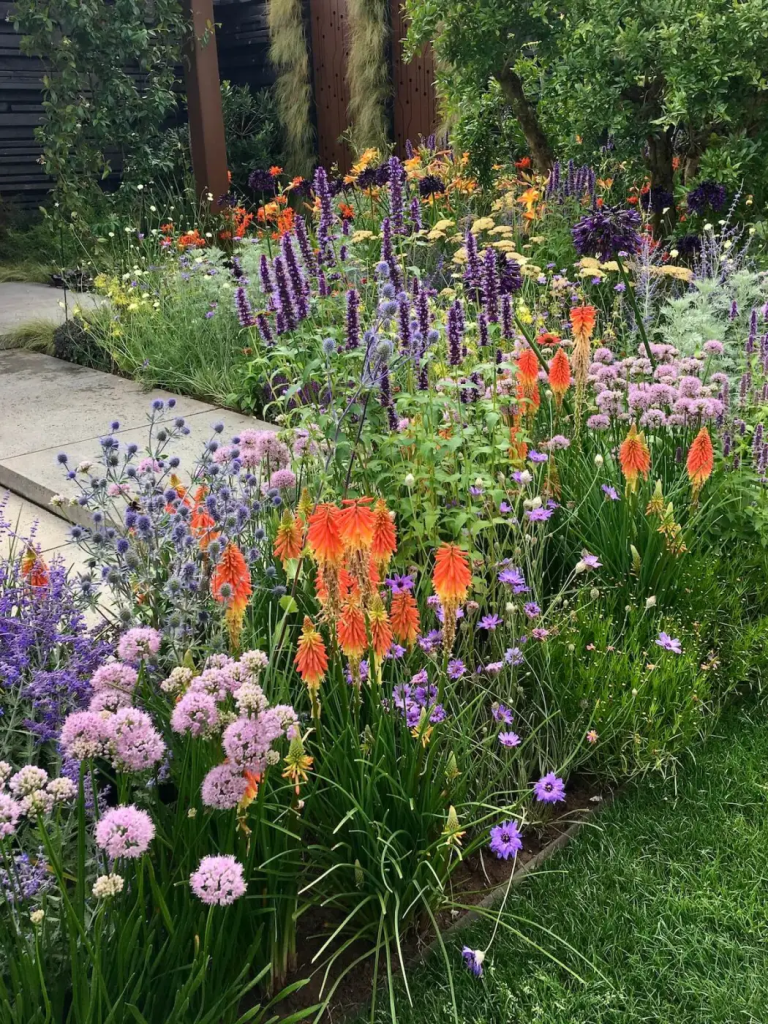 A vibrant garden filled with a variety of colorful flowers including orange, purple, and pink blooms, with lush green grass in the foreground.