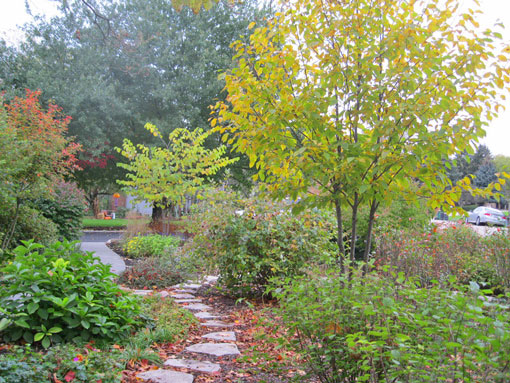 A scenic garden pathway lined with stones, surrounded by greenery and autumn foliage.
