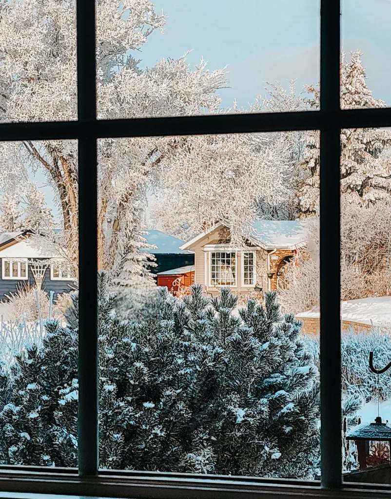 A winter scene viewed through a window, showcasing snow-covered trees and houses in the background.