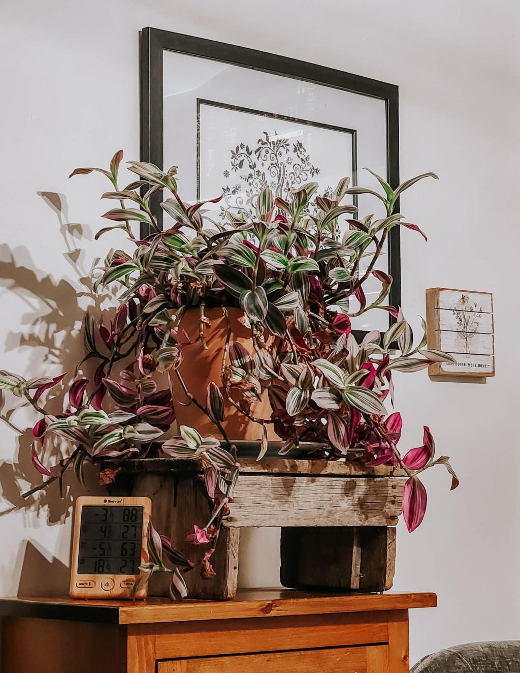 Sunday Ramblings #66 (Kickstart Your&nbsp;January)