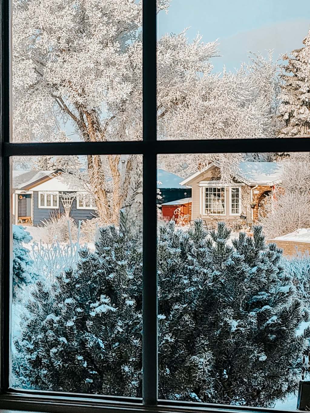 Sunday Ramblings #65 (Garden planning &&nbsp;Design)