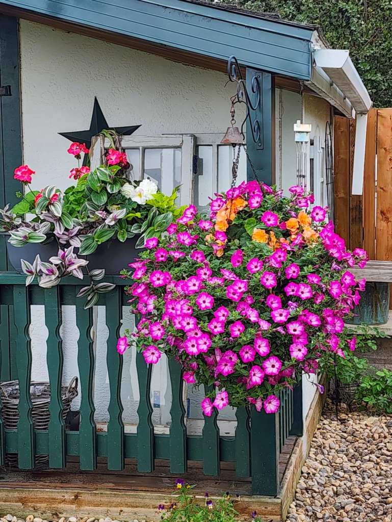 A colorful hanging flower basket filled with vibrant pink and orange blooms, displayed on a green railing near a charming house with an architectural star and decorative elements.