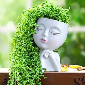 A decorative white planter shaped like a woman's head with long, cascading green succulent plants resembling hair.