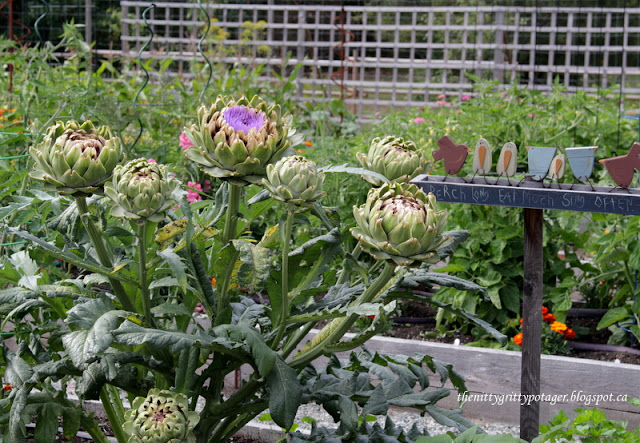 A vegetable garden featuring artichoke plants in bloom, with purple flower buds and large green leaves, alongside a wooden sign with decorative pots and birds.