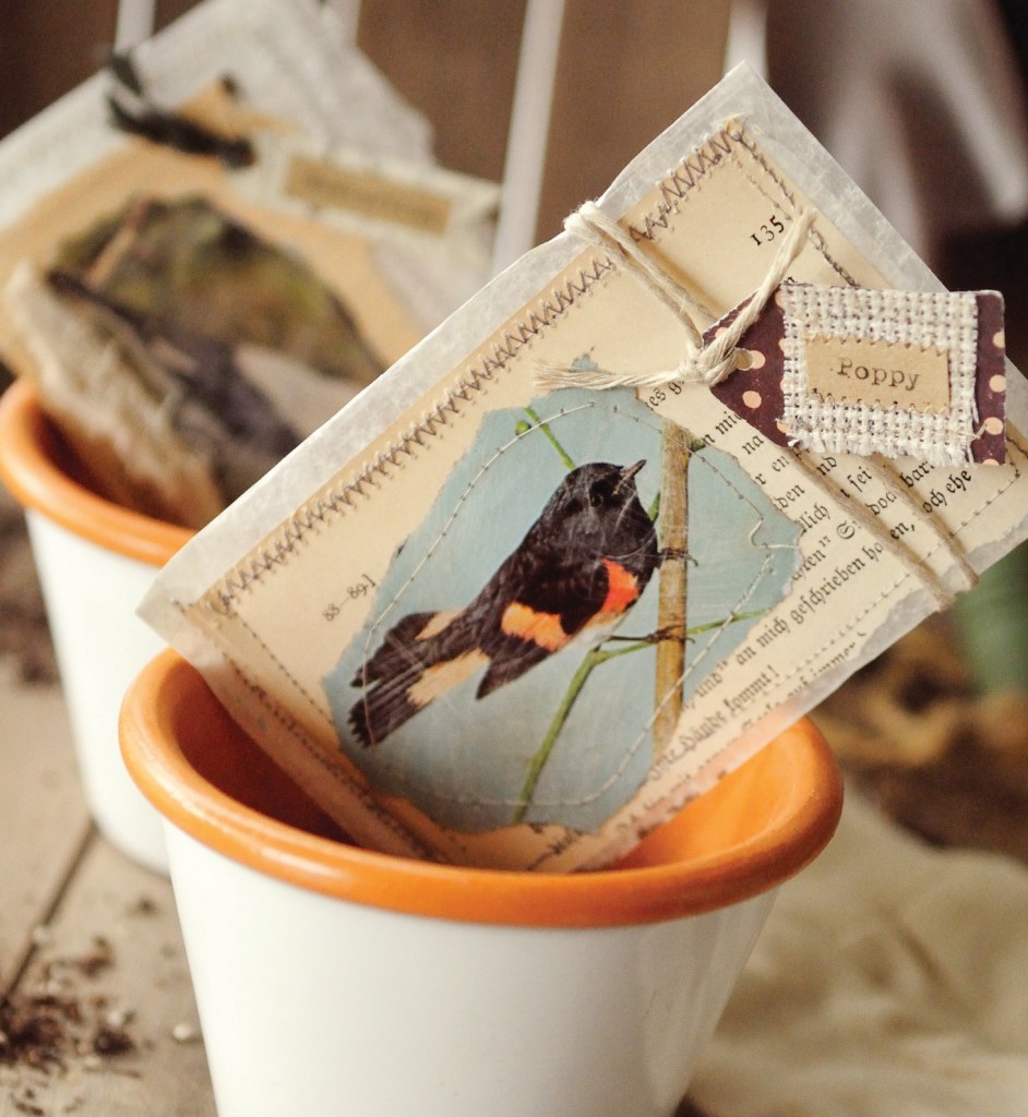 Vintage seed packets featuring a bird illustration nestled in terracotta pots on a rustic wooden surface.