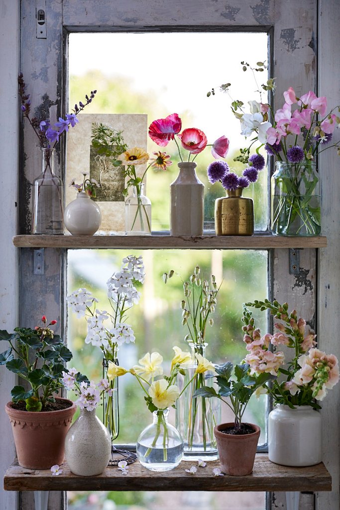 A beautiful display of flowers on a wooden shelf, with various vases holding colorful blooms next to a window, creating a serene and vibrant atmosphere.