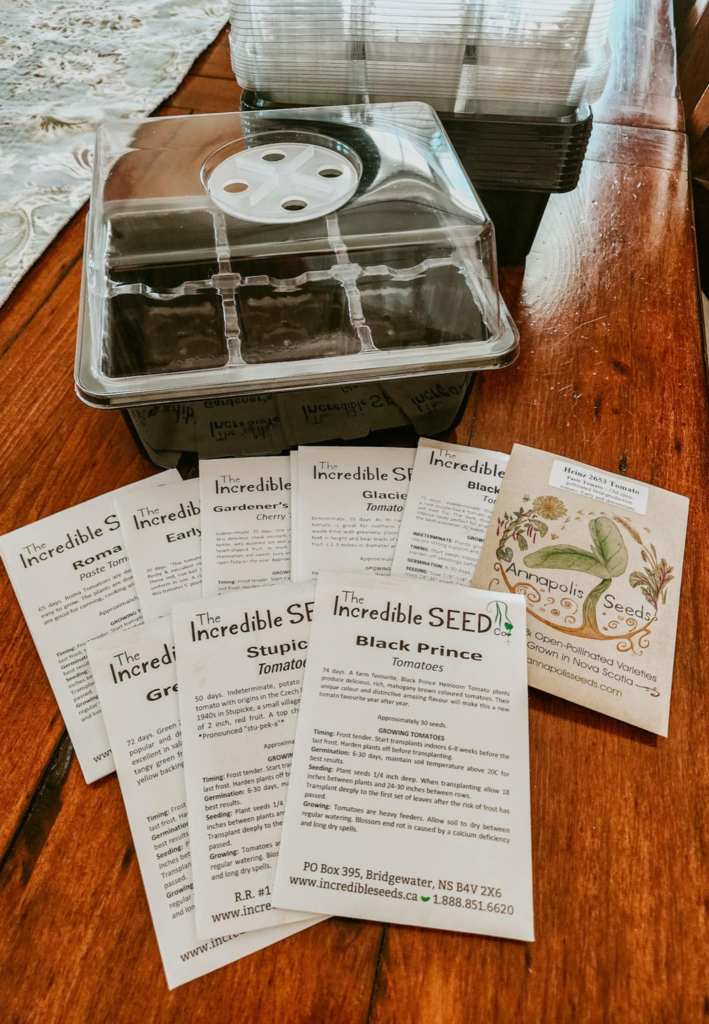 A clear plastic seed starting tray with a lid, accompanied by several seed packets from 'The Incredible Seed Co.' featuring various tomato varieties like 'Black Prince' and 'Stupice', laid on a wooden surface.