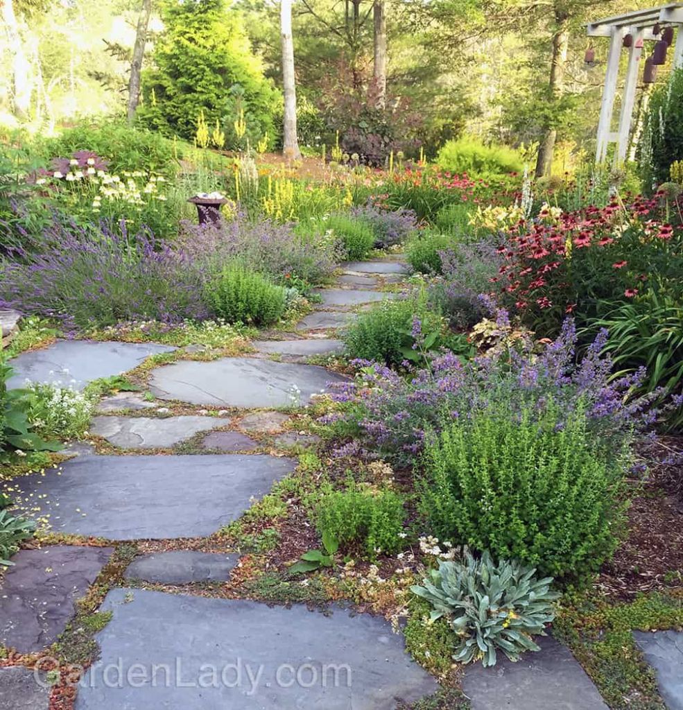 A winding stone pathway surrounded by lush, colorful flowering plants and greenery, inviting strolls through a vibrant garden.
